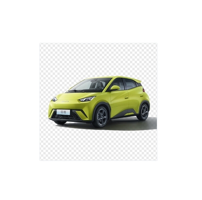 BYD Pure Electric 305KM Compact Family Car