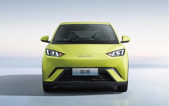 BYD Pure Electric 305KM Compact Family Car