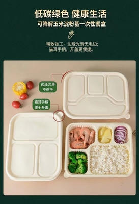 Degradation, environmental protection, health and safety, disposable lunch boxes