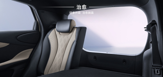 BYD 2025 420km Dolphin Active Edition EV