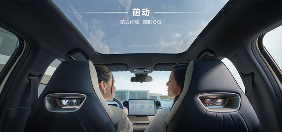 BYD 2025 Dolphin 520km Knight Edition EV