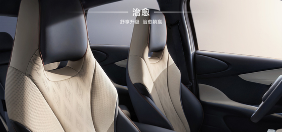 BYD 2025 Dolphin 520km Knight Edition EV