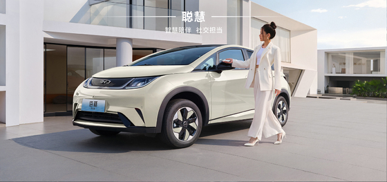 BYD 2025 Dolphin 520km Knight Edition EV