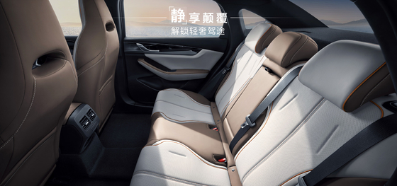 BYD Qin Plus DMI 102km Leading Glory Edition