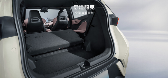 2025 BYD Haiou 305KM