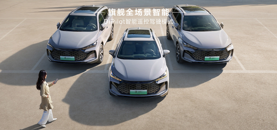 BYD Tang DM-i112KM Navigation Honor Edition