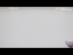 2025 420km Dolphin Active Edition EV